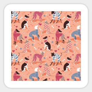 Greyhounds dogwalk // pattern // coral background Sticker